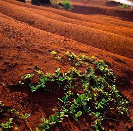 《夜勤病栋》Steam中文版已发售 特惠价60.8元